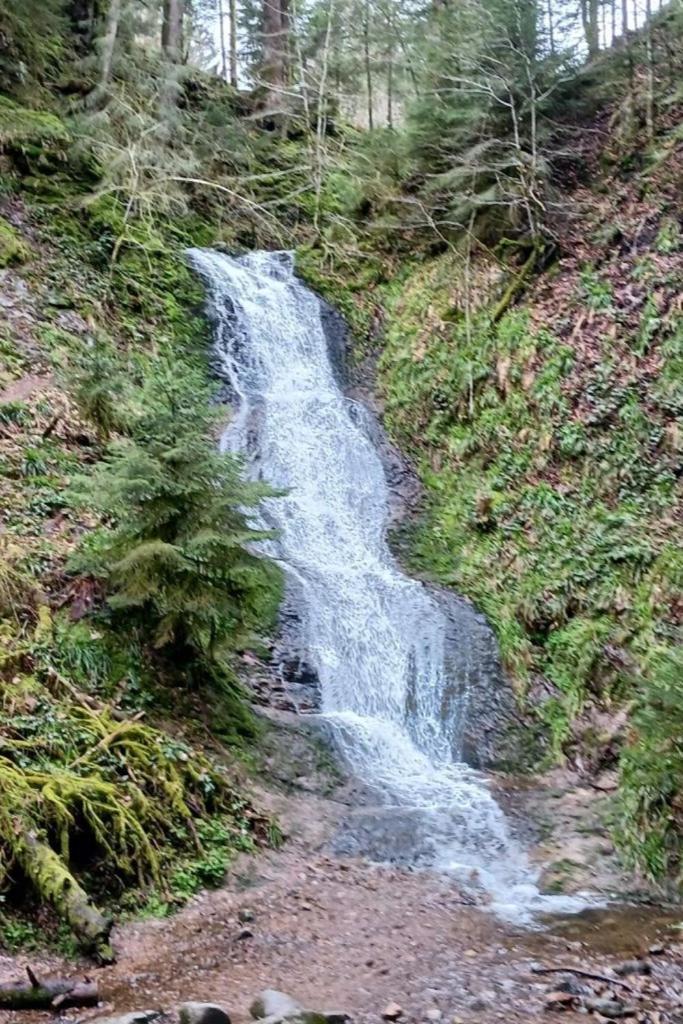 Charmant Gite, Au Calme, Avec Vue Imprenable Sur La Nature Environnante Deycimont Buitenkant foto